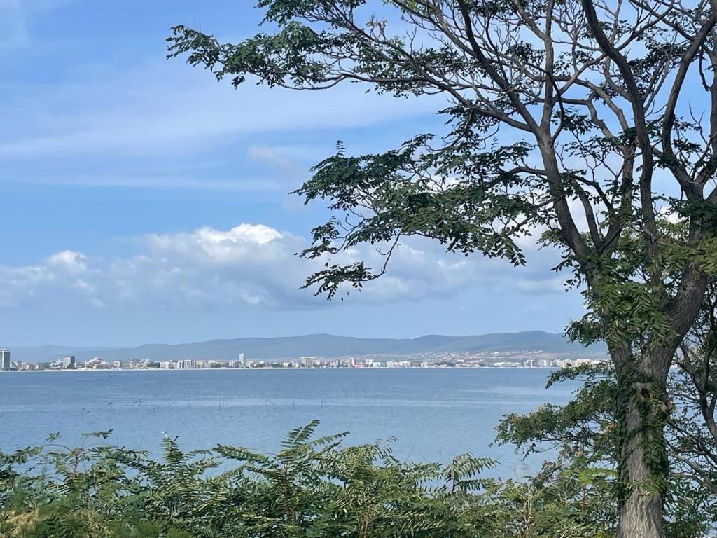 Apartment Sunny Beach Plaza 100 M Sea Zewnętrze zdjęcie